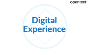 Digital Experience (DX)